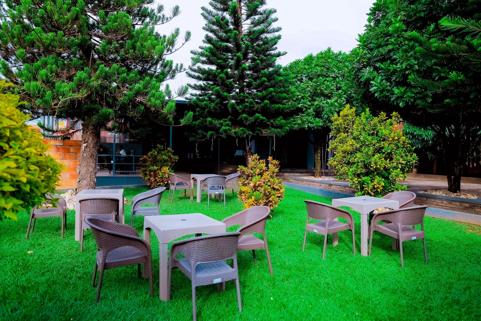 Garden & Relaxation Space